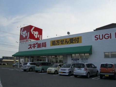 ドラックストア　スギドラッグ 幡豆店（ドラッグストア）まで642m