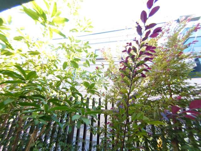 眺望　別部屋参照