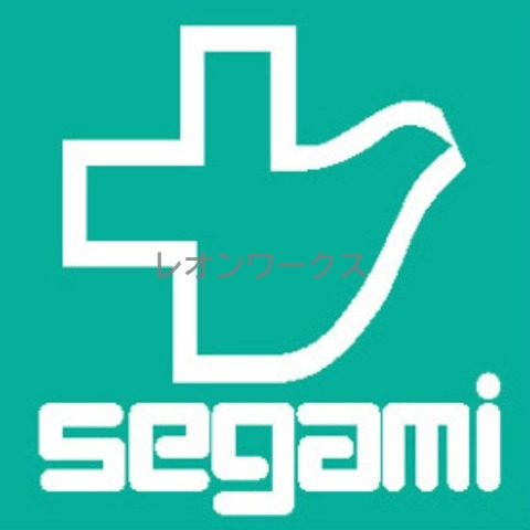 ドラックストア　ドラッグセガミ内代店（ドラッグストア）まで315m