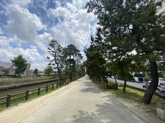 その他　草加松原（その他）まで1163m