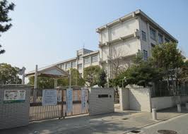 小学校　尼崎市立名和小学校（小学校）まで508m