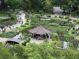 公園　城北公園（公園）まで59m