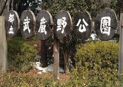 公園　武蔵野公園（公園）まで300m