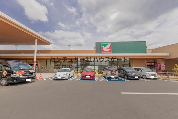 スーパー　ヨークベニマルミライト一条店（スーパー）まで1224m