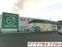 ドラックストア　ザグザグ様（ドラッグストア）まで250m