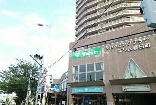 スーパー　サミットストア 練馬春日町店（スーパー）まで970m