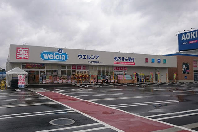 ドラックストア　ウエルシアリップス旭岡店（ドラッグストア）まで612m