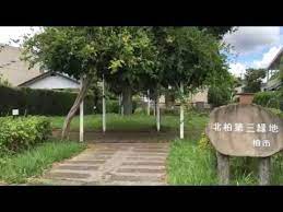 公園　北柏第三公園（公園）まで119m