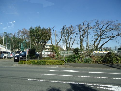 小学校　相模原市立若松小学校（小学校）まで331m
