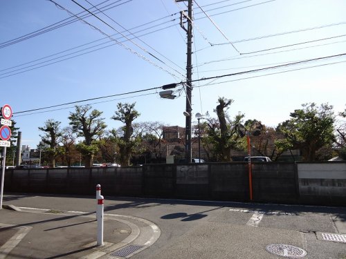 大学・短大　相模女子大学（大学・短大）まで994m
