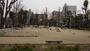 公園　公園【西中島7丁目】（公園）まで116m