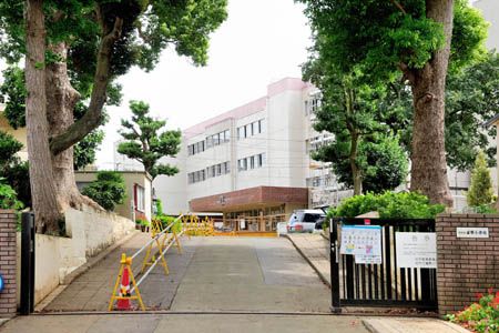 小学校　柏市立富勢小学校（小学校）まで1247m