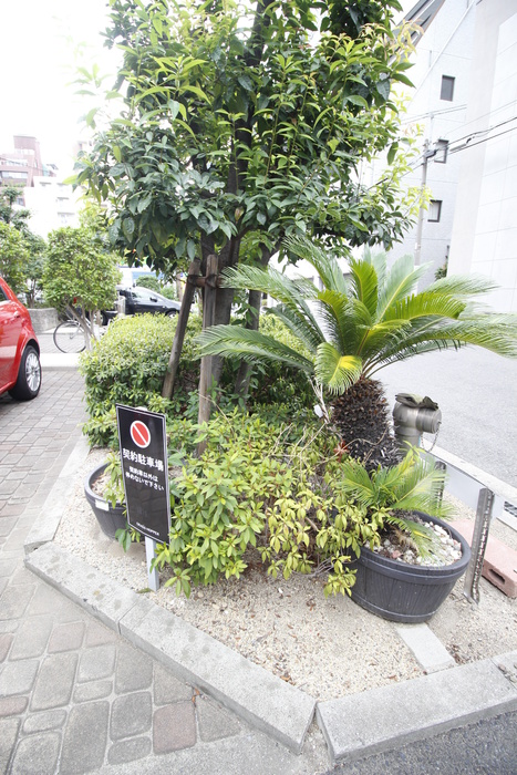 GRASS HOPPERのその他写真