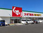 ドラックストア　スギ薬局 浜松北店（ドラッグストア）まで531m