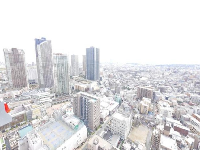 東急東横線 武蔵小杉駅 徒歩4分 45階建 築12年のその他写真