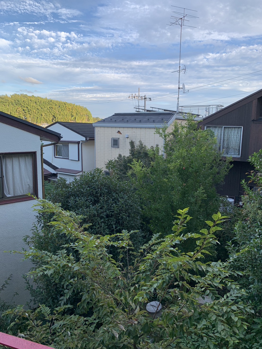 カターラKのその他写真