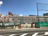 小学校　仙台市立榴岡小学校（小学校）まで177m