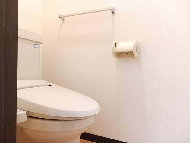 富山地鉄不二越上滝 南富山駅 徒歩40分 2階建 築31年のトイレ写真