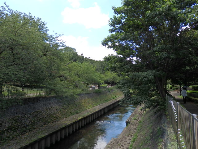 公園　善福寺川緑地（公園）まで529m