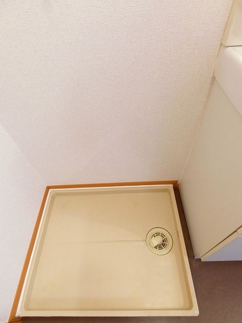 コスモスのその他写真