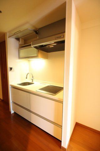キッチン　（別タイプ参考写真）日神デュオステージ田端　北区田端1