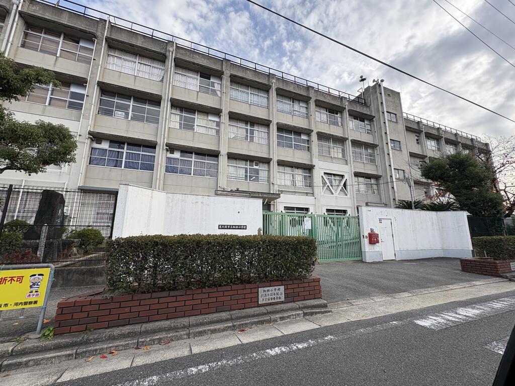 小学校　東大阪市立加納小学校（小学校）まで719m