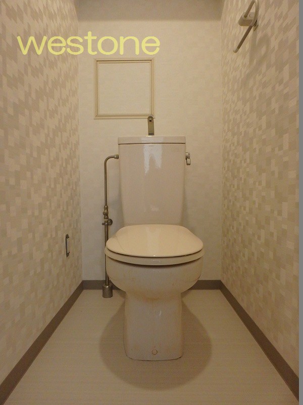 レボンタケダのトイレ写真