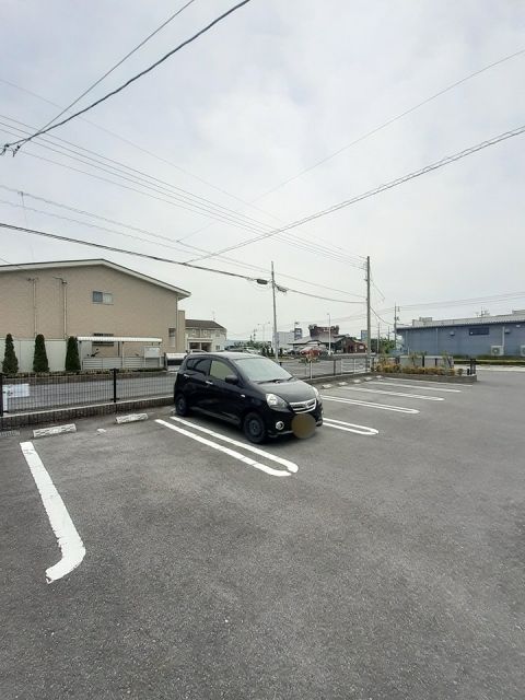プリンセチアIIIのその他写真