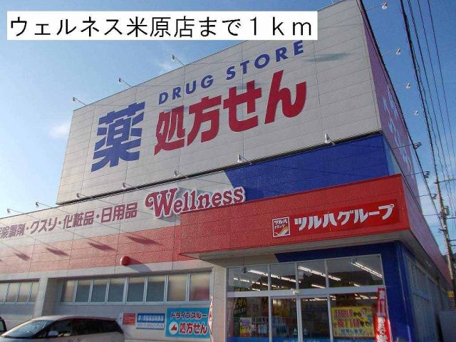 プリンセチアIIIの周辺写真