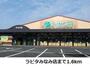 スーパー　ラピタみなみ店（スーパー）まで807m