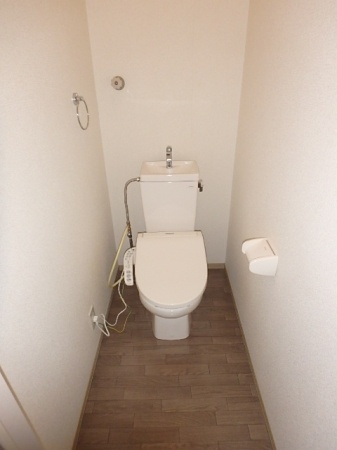 エヴァーグリーンコート ABCDのトイレ写真