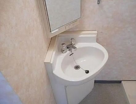 洗面設備　参考写真：別部屋タイプ