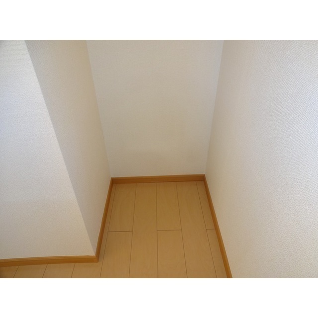 エクセレント・クレオパトラAのその他写真