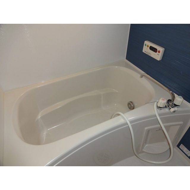 エクセレント・クレオパトラAの風呂写真