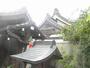 その他　勝林寺（その他）まで542m