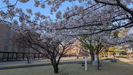 大学・短大　宇都宮大学（大学・短大）まで1000m