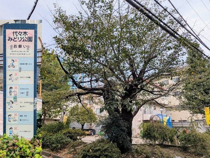 公園　代々木みどり公園（公園）まで280m