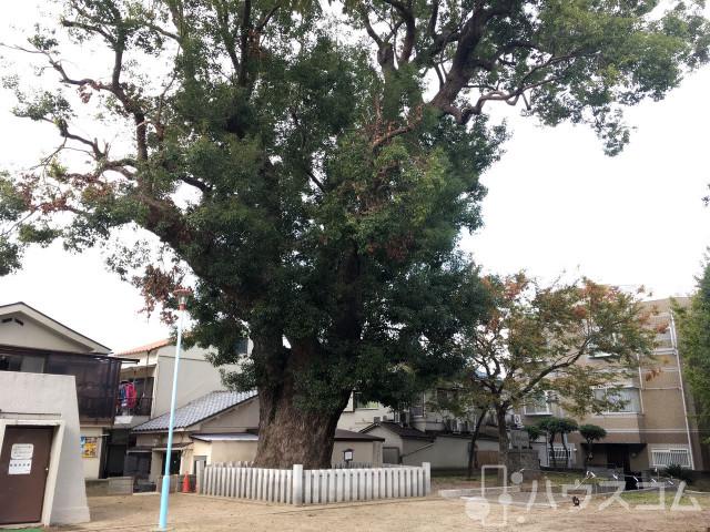 公園　須賀森公園（公園）まで300m