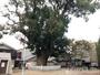 公園　須賀森公園（公園）まで300m