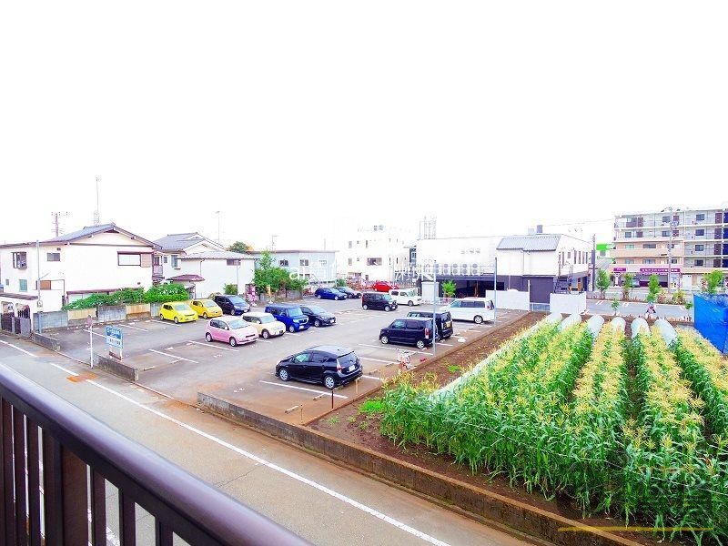 眺望
