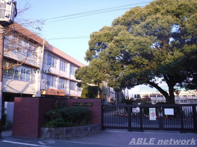 小学校　熊本市立若葉小学校（小学校）まで361m