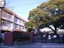 小学校　熊本市立若葉小学校（小学校）まで361m
