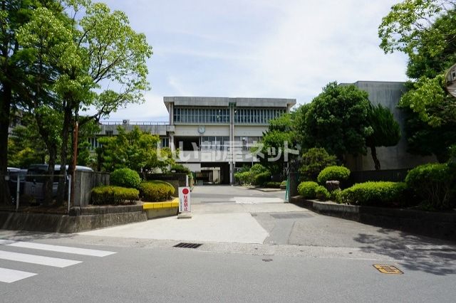 【徳島市明神町のマンションの小学校】