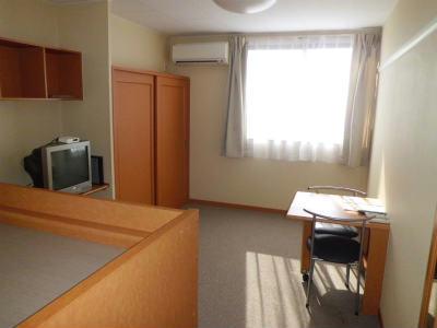 居室・リビング　グレーのカーペット張りの居室です。