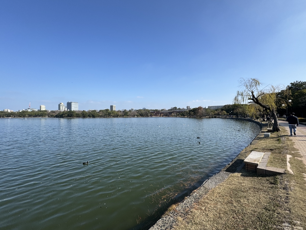 【ダイアパレス大濠公園の公園】