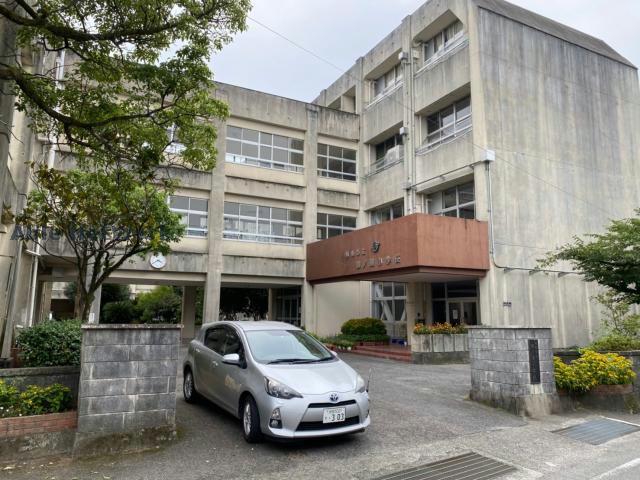 小学校　阿南市立羽ノ浦小学校（小学校）まで565m