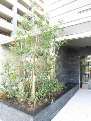 庭　植栽