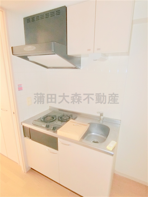キッチン　2口ガスシステムキッチン