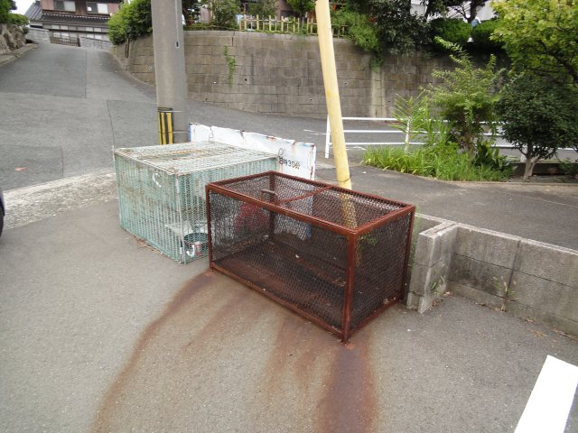ロッジスワンのその他写真