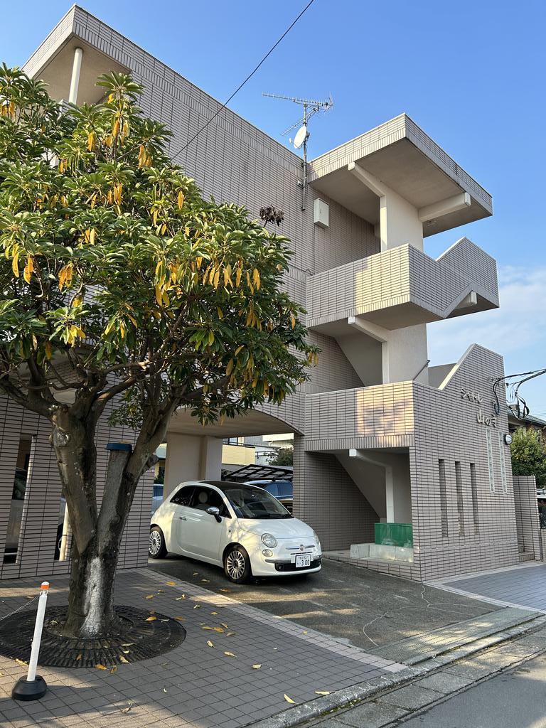 建物外観　南面、日当り良好